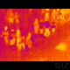 Illustration for article titled Seek Thermal Review: Cheaper Predator Vision For Your Smartphone